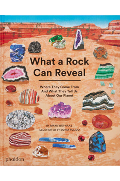Phaidon Pr Inc Ce poate dezvălui o rocă: De unde provin și ce ne spun despre ...