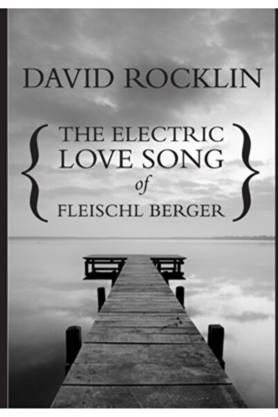 INDEPENDENT CAT Cântecul de dragoste electric al lui Fleischl Berger