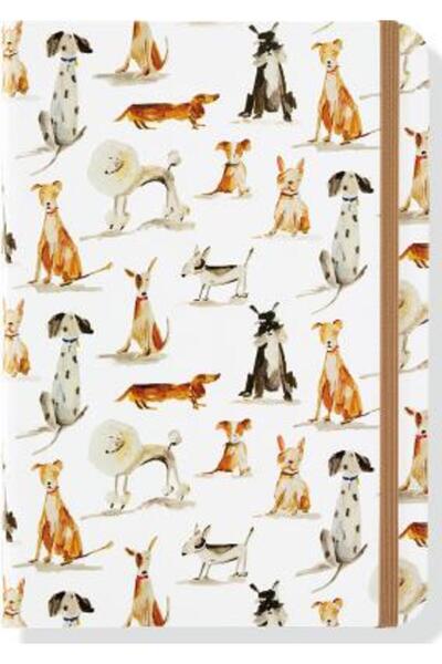 BIBLIOBAZAAR Jurnalul Zilelor Canine (Jurnal, Caiet)