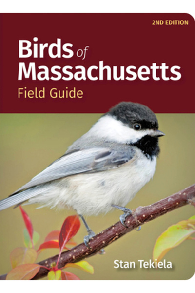 Adventurekeen Ghid de teren pentru păsările din Massachusetts