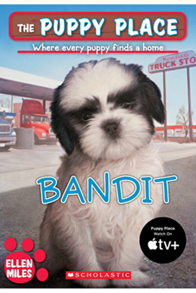 Scholastic Bk Services Bandit