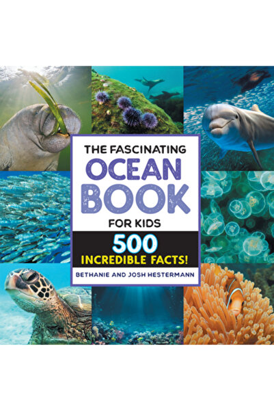 Rockridge Pr Cartea fascinantă despre ocean pentru copii: 500 de fapte incred...