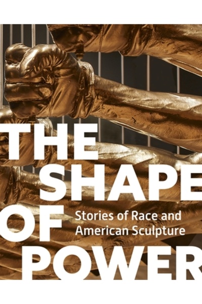 Princeton Univ Pr Forma puterii: Povești despre rasă și sculptură americană