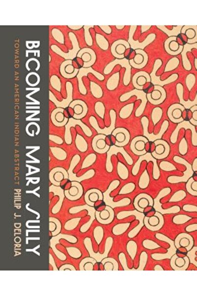 Univ Of Washington Pr Devenind Mary Sully: Către un rezumat indian american