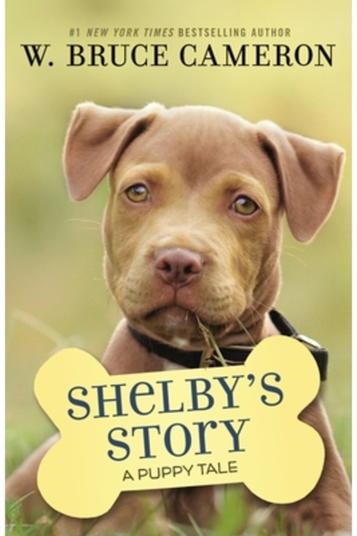 Starscape Povestea lui Shelby: Povestea unui câine în drum spre casă