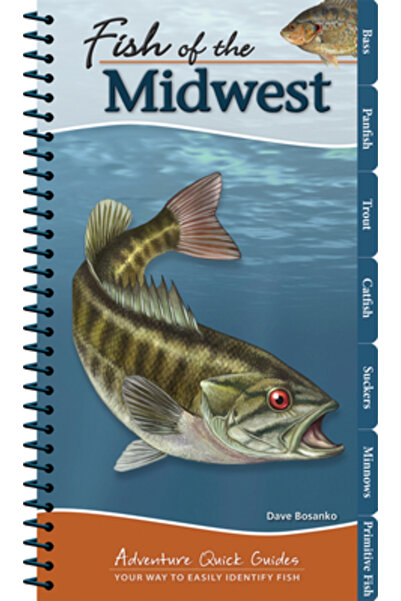 Univ Of California Pr Peștii din Midwest