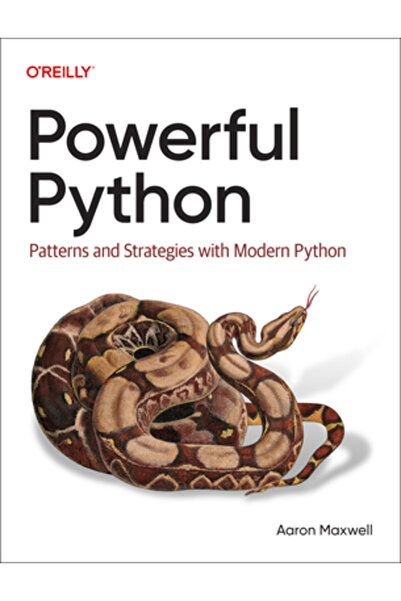OReilly Media Python puternic: modele și strategii cu Python modern