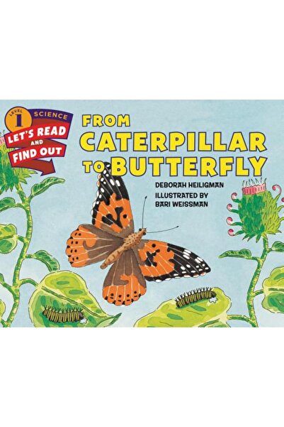 Harper Collins De la omidă la fluture