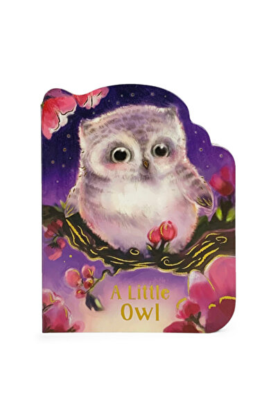 Cottage Door Pr O bufniță mică