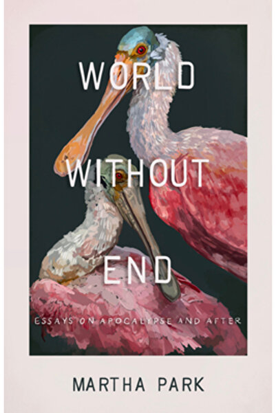 Hub City Pr Lume fără sfârșit: Eseuri despre Apocalipsă și după