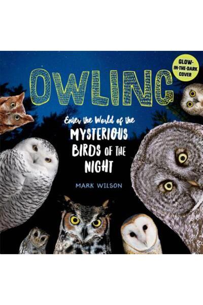 Storey Pub Bufniță: Intrați în lumea păsărilor misterioase ale nopții