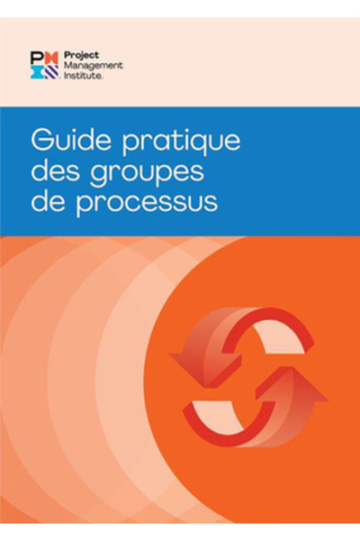 Project Mgmt Inst Grupuri de proces: Ghid practic (franceză)