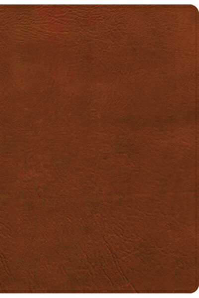 Holman Bibles Biblia de referință NASB Super Giant Print, culoarea pielii ars...