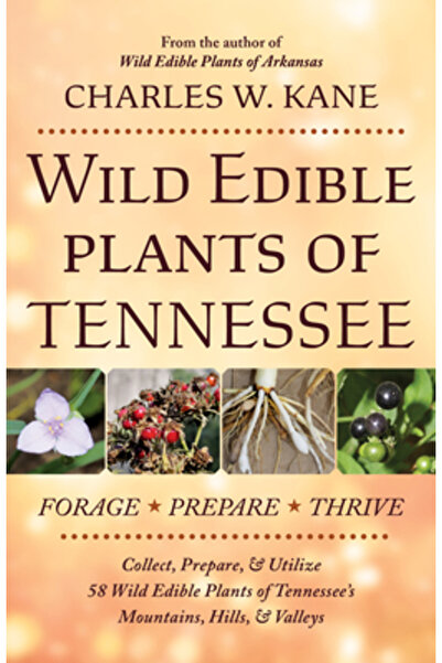 Lincoln Town Pr Medicină avansată pe bază de plante