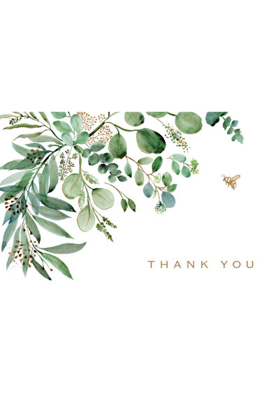 Peter Pauper Cărți de mulțumire cu eucalipt