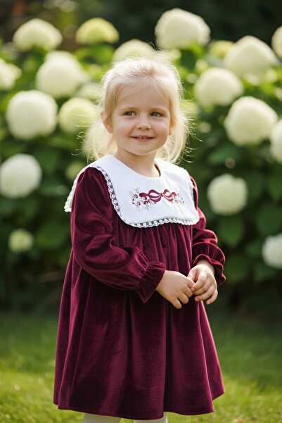 VİYOLİNA Velvet Collar Detail Dress