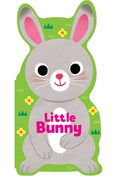 Silver Dolphin Books Iepurașul mic