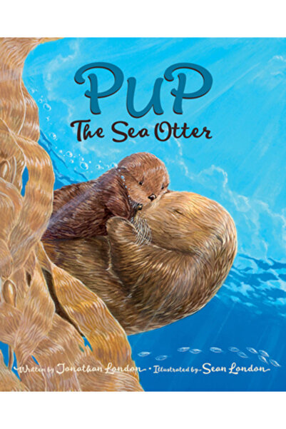 West Margin Pr Pup, vidră de mare