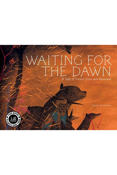 Tra Pub Așteptând zorii: O poveste despre incendiile forestiere și reînnoire