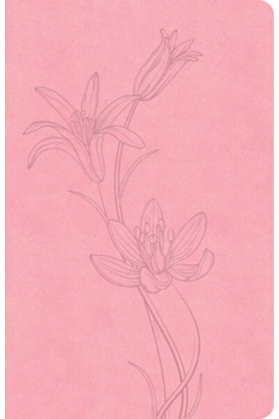 Holman A J Biblia CSB cu linii subțiri, ediție economică, piele fină roz pal