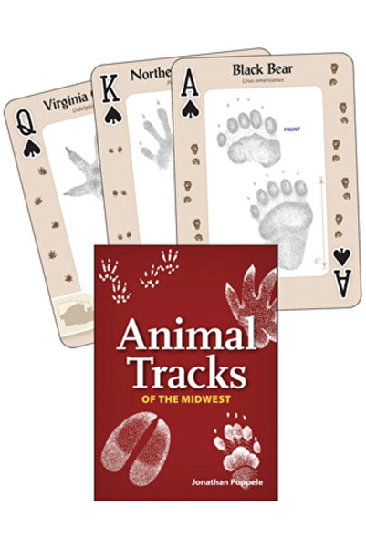 Univ Of California Pr Cărți de joc Animal Tracks of the Midwest
