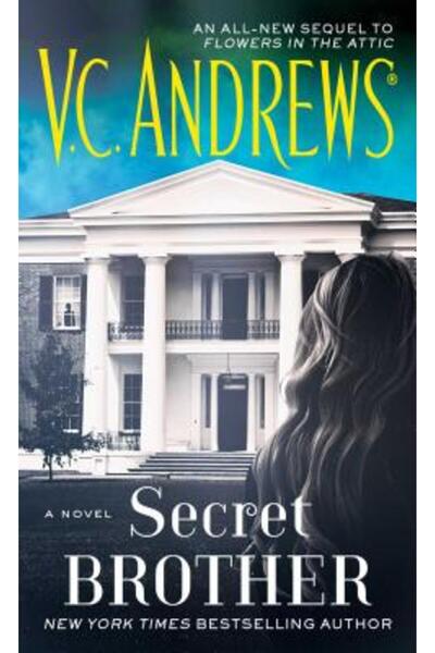 Pocket Books Fratele secret