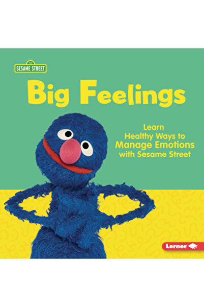 Lerner Pubn Sentimente profunde: Învață metode sănătoase de a gestiona emoții...