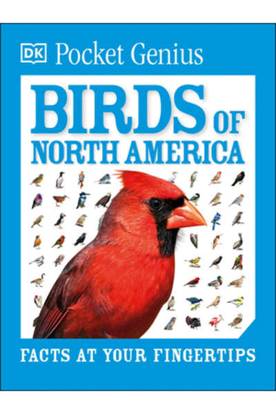 Dk Pub Păsări de buzunar geniale din America de Nord