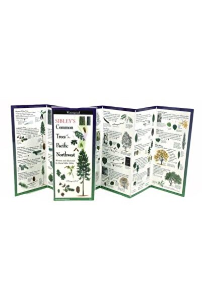 BIBLIOBAZAAR Copacii lui Sibley din nord-vestul Pacificului