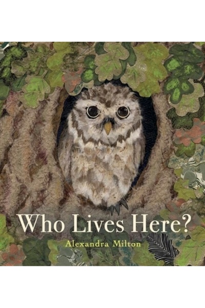 Boxer Books Cine locuiește aici?