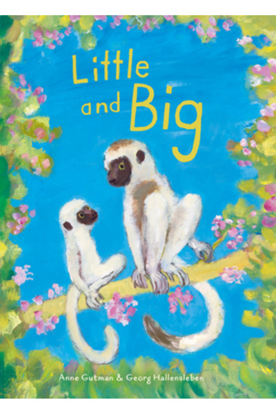 Hippo Park Mic și mare