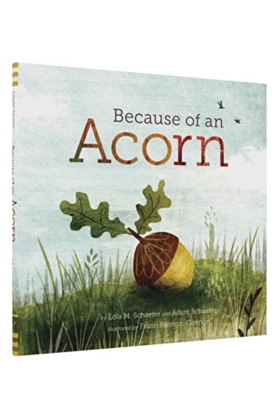 Houghton Mifflin Din cauza unei ghinde