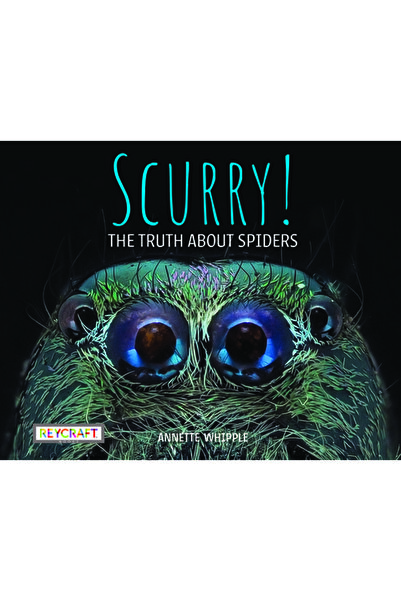 Reycraft Books Fugi! Adevărul despre păianjeni