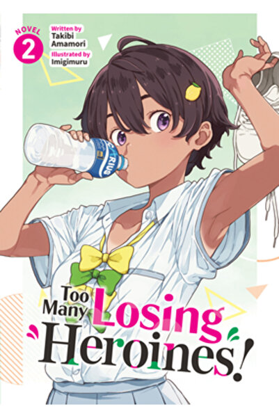 Airship Prea multe eroine pierdute! (roman ușor) Vol. 2