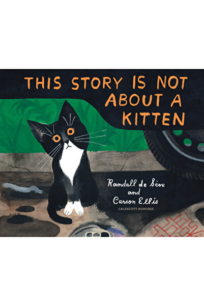 Random House Studio Această poveste nu este despre un pisoi