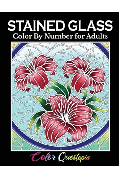 INDEPENDENT CAT Colorat cu vitralii după număr pentru adulți: Carte de colora...