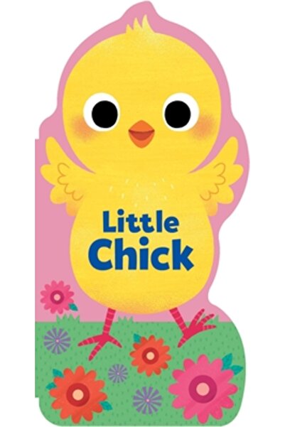Silver Dolphin Books Little Chick