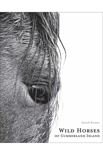 Images Pub Caii sălbatici din insula Cumberland