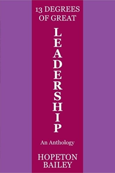 New Generation Pub 13 grade de conducere excelentă: o antologie