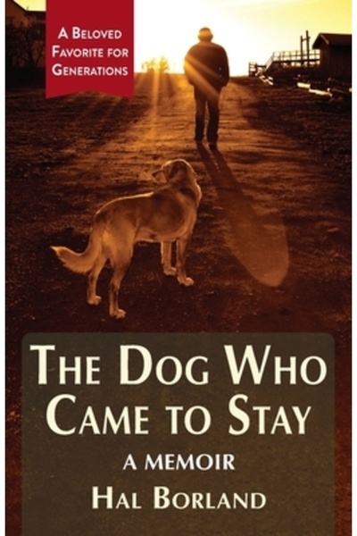 Echo Point Books & Media Câinele care a venit să rămână: Memorii