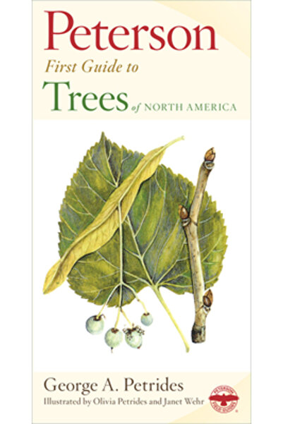 Houghton Mifflin Harcourt (Hmh) Primul ghid Peterson despre copaci