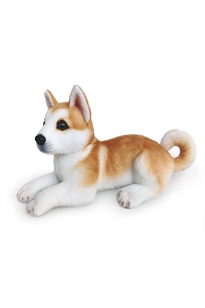 charmerprincesses AKİTA PELUŞ KÖPEK 25 CM GERÇEKÇİ AKİTA KÖPEK PELUŞ OYUNCAK ...