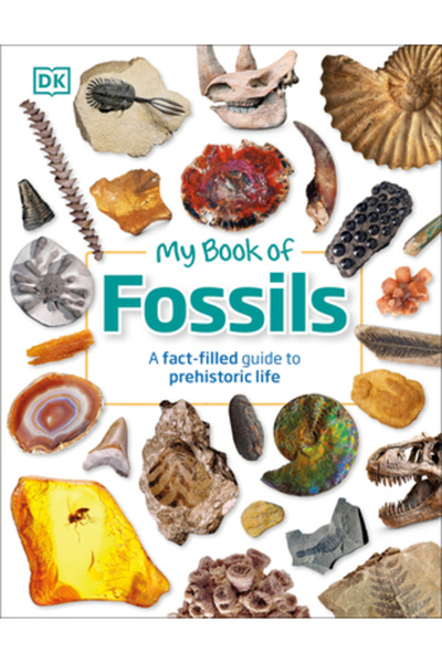 Dk Pub Cartea mea despre fosile: Comori preistorice care să intrige, să inspi...