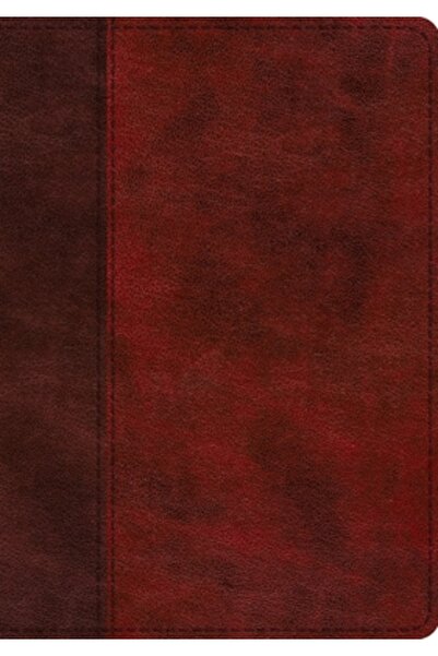 Crossway Books Biblia ESV cu jurnal pe o singură coloană, caractere mari (Tru...