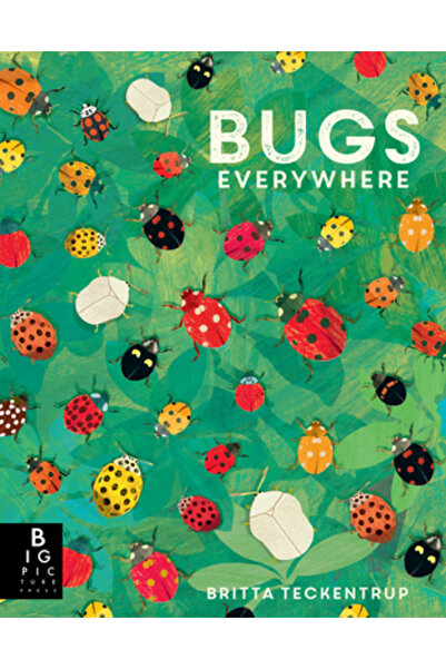 Big Picture Pr Insecte peste tot