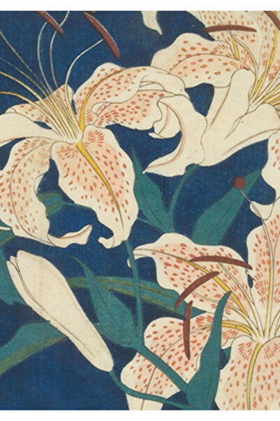 Tuttle Pub Jurnal Hiroshige Spotted Lilies, format broșat: Punctat: 5 3/4 X 8...