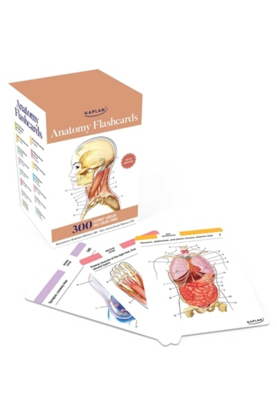 Kaplan Pub Fișe de anatomie: 300 de fișe cu desene anatomice precise și descr...