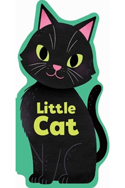 Silver Dolphin Books Little Cat
