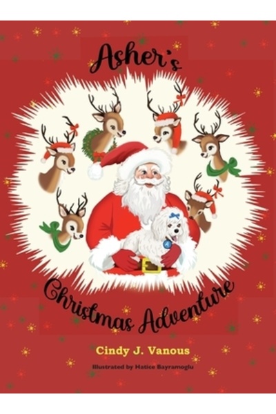 INDEPENDENT CAT Aventura de Crăciun a lui Asher