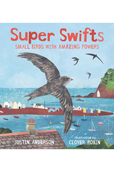 Candlewick Books Super Swifts: Păsări mici cu puteri uimitoare